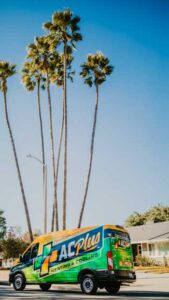 van by palm trees